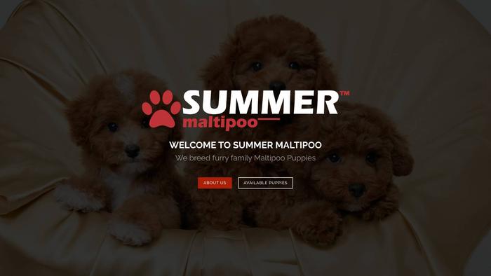 Summermaltipoo.com - Maltipoo Puppy Scam Review