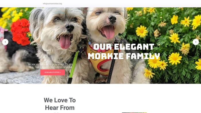 Sunrisemorkies.dog - Yorkshire Terrier Puppy Scam Review