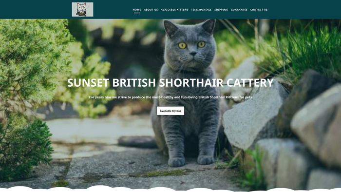 Sunsetbritishshorthaircattery.com - British Shorthair Puppy Scam Review