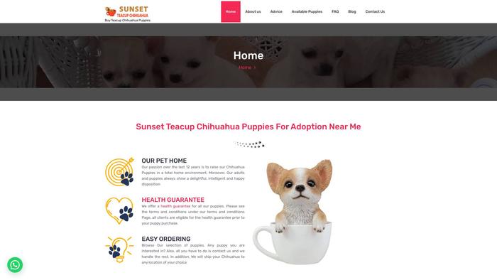 Sunsetteacupchihuahua.com - Chihuahua Puppy Scam Review