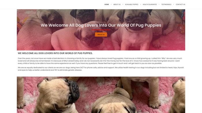 Superpugpuppies.com - Pug Puppy Scam Review