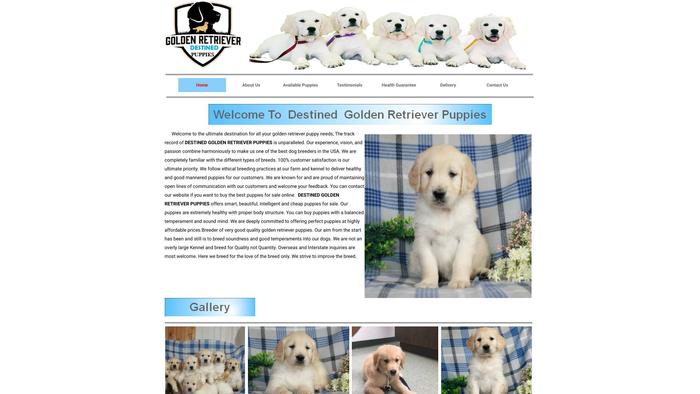 Syneypups.com - Golden Retriever Puppy Scam Review