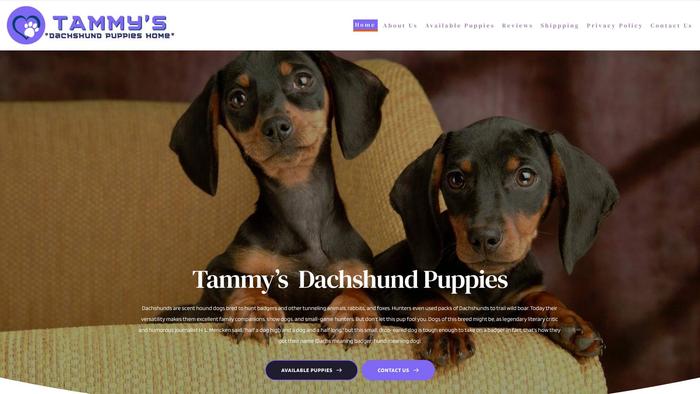 Tammydachundpuppieshome.com - Dachshund Puppy Scam Review