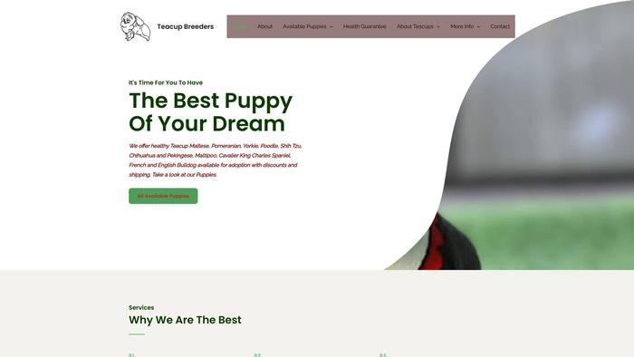 Tcupbreeders.com - Yorkshire Terrier Puppy Scam Review