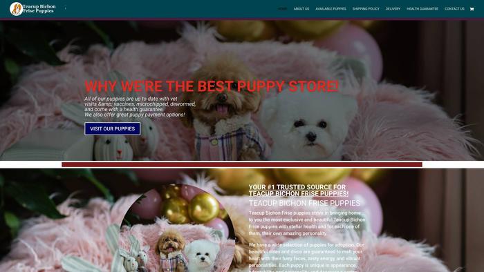 Teacupbichonfrisepuppies.com - Bichon Frise Puppy Scam Review