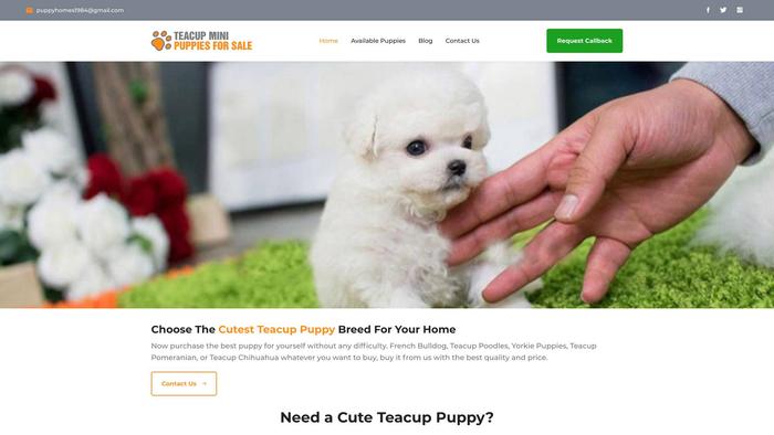 Teacupminipuppiesforsale.com - Yorkshire Terrier Puppy Scam Review