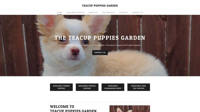 Teacuppuppiesgarden.com - Yorkshire Terrier Puppy Scam Review