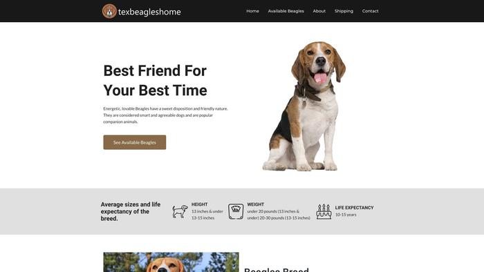 Texbeagleshome.com - Beagle Puppy Scam Review