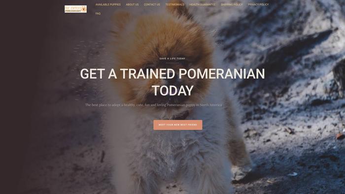 Thecutestpomeranians.com - Pomeranian Puppy Scam Review