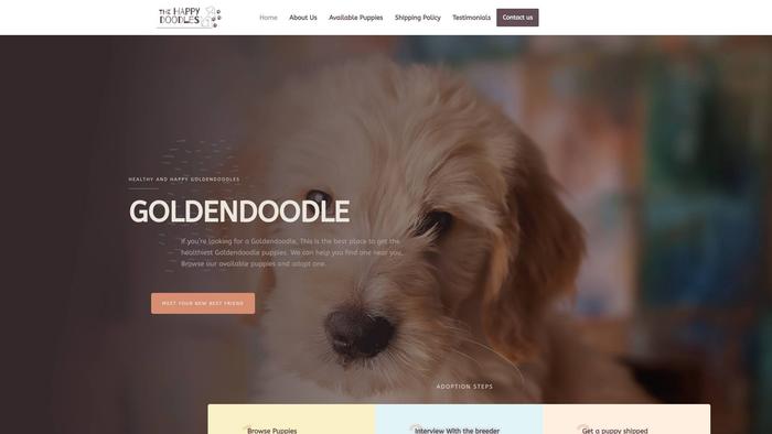 Thehealthydoodles.com - Labradoodle Puppy Scam Review