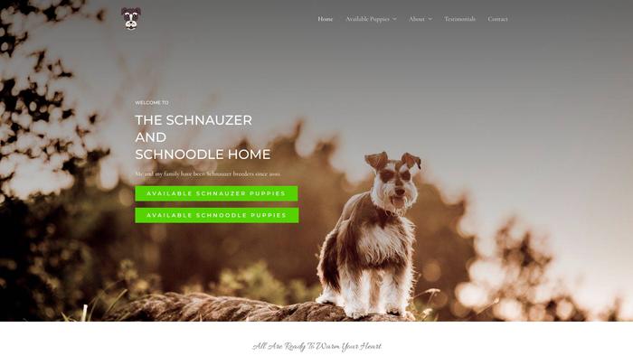 Theschnauzerandschnoodlehome.com - Schnauzer Puppy Scam Review