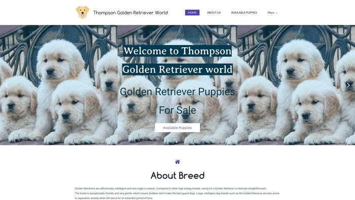 Thompsongoldenretrievers.com - Golden Retriever Puppy Scam Review