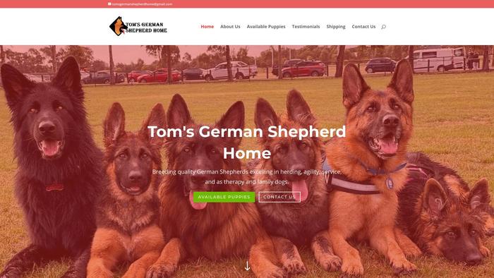 Tomsgermanshepherdhome.com - Germanshepherd Puppy Scam Review