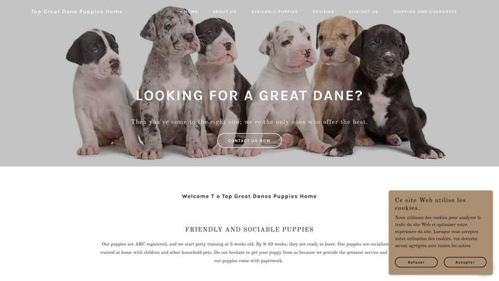 Topgreatdanespupshome.com - Great Dane Puppy Scam Review