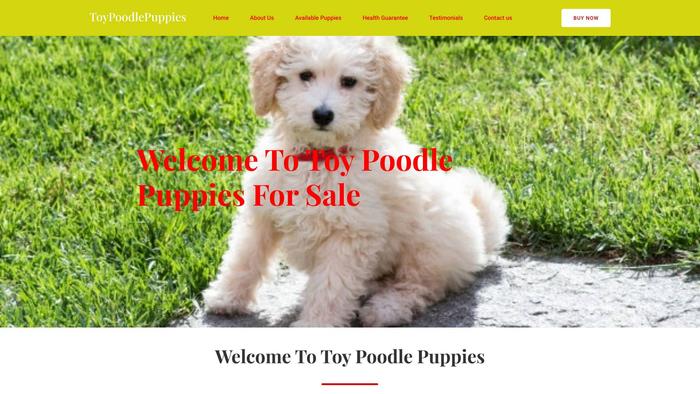 Toypoodlepuppies-au.com - Poodle Puppy Scam Review