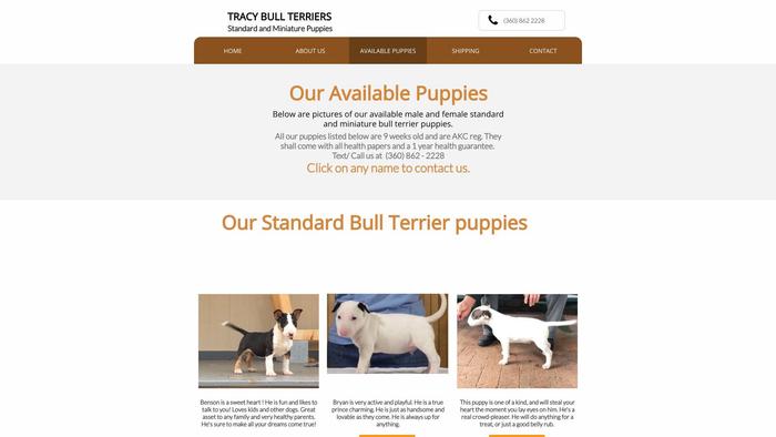 Tracybullterriers.com - Terrier Puppy Scam Review