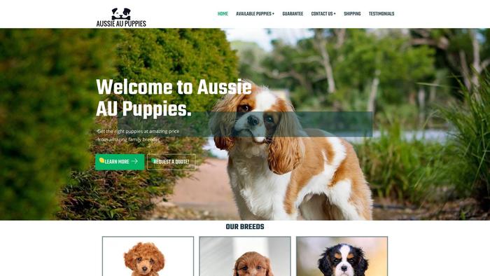 Traders-aussie-puppies.com - Australian Shepherd Puppy Scam Review