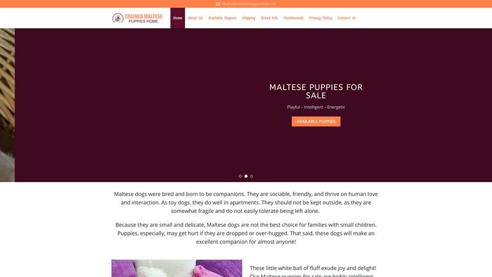 Trainedmaltesepuppieshome.com - Maltese Puppy Scam Review