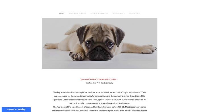 Trinitypremiumpugpuppies.com - Pug Puppy Scam Review