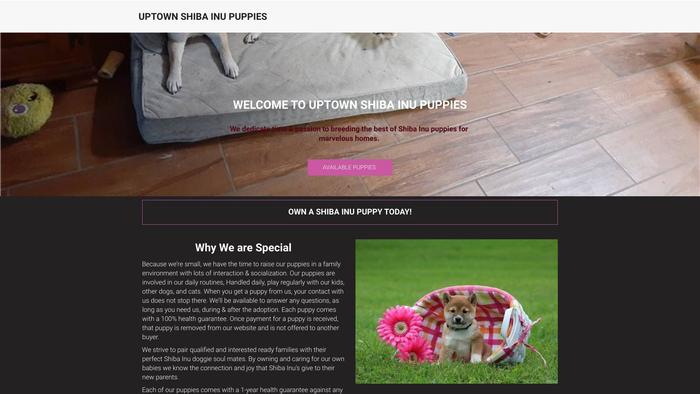 Uptownshibainupuppies.com - Shibhainu Puppy Scam Review