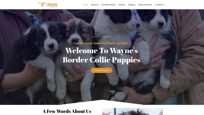 Waynebordercollie.com - Bordercollie Puppy Scam Review