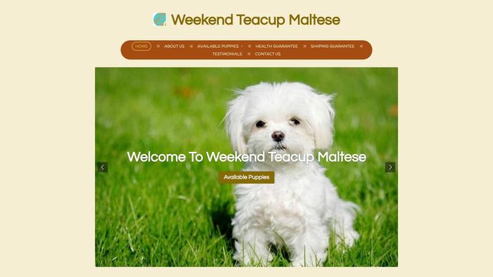 Weekendteacupmaltese.com - Maltese Puppy Scam Review