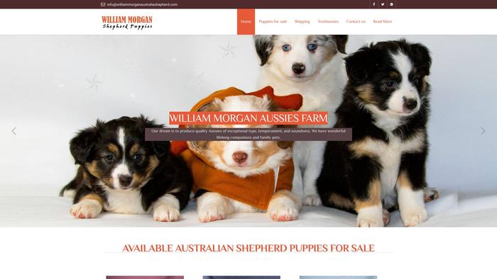 Williammorganaustraliashepherd.com - Germanshepherd Puppy Scam Review