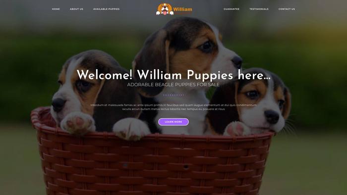 Williampuppies.com - Beagle Puppy Scam Review