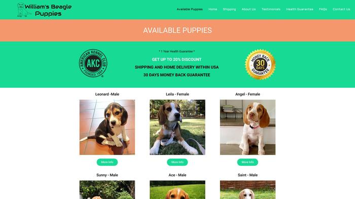 Williamsbeaglepuppies.com - Beagle Puppy Scam Review