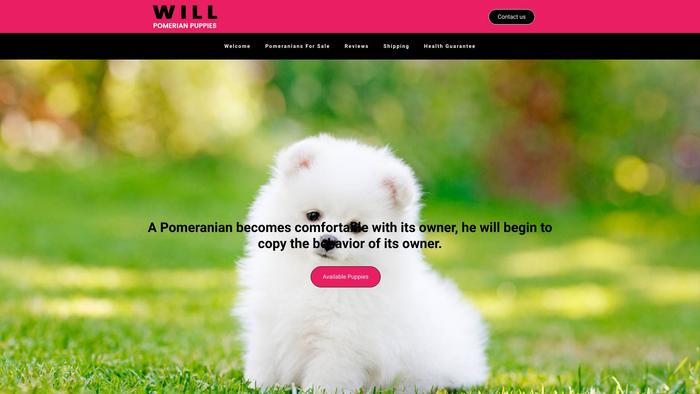 Willpomeranianpuppies.com - Pomeranian Puppy Scam Review