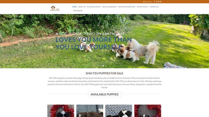 Windywayshihtzupuppies.com - Shihtzu Puppy Scam Review