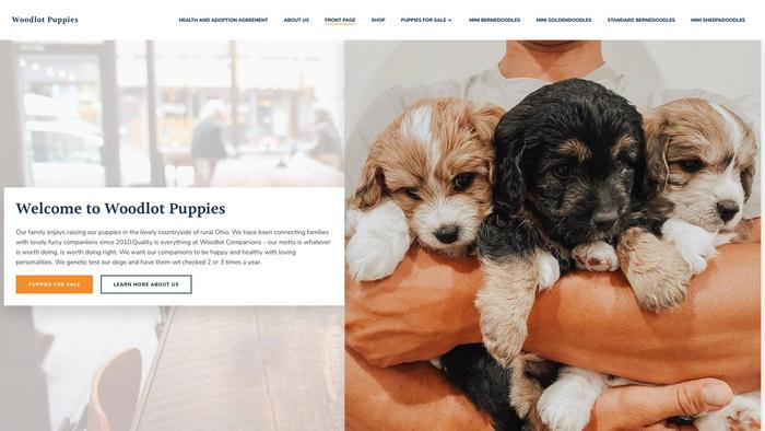 Woodlotpups.site - Bernedoodle Puppy Scam Review