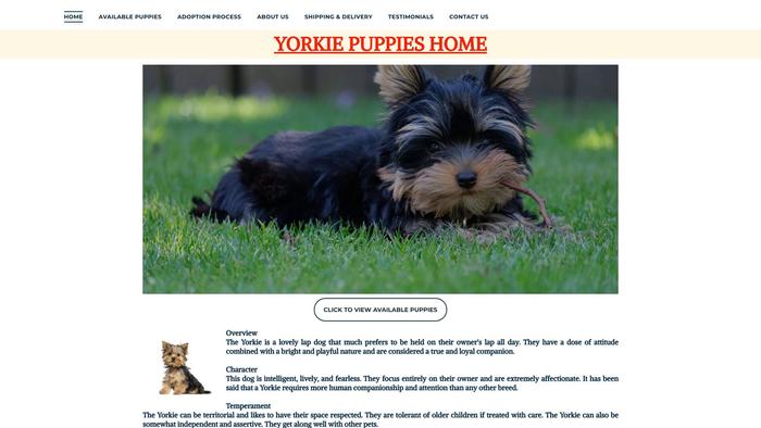 Yorkiepuppeshome.com - Yorkshire Terrier Puppy Scam Review