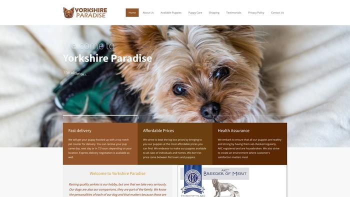 Yorkshireparadise.com - Yorkshire Terrier Puppy Scam Review