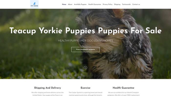 Yorkshireterriepuppyforsale.com - Yorkshire Terrier Puppy Scam Review