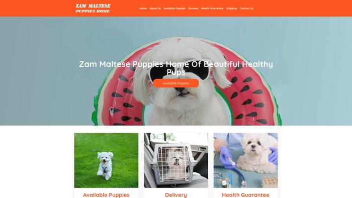 Zammaltesepuppieshome.com - Maltese Puppy Scam Review