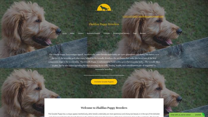 Zhaliliaspuppies.com - Golden Doodle Puppy Scam Review