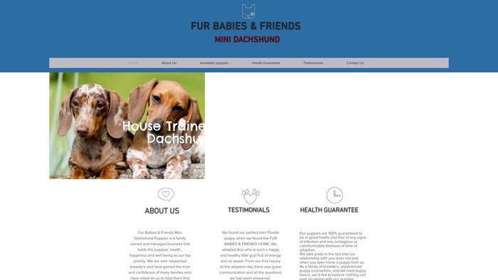 Zulzfurhome.com - Dachshund Puppy Scam Review