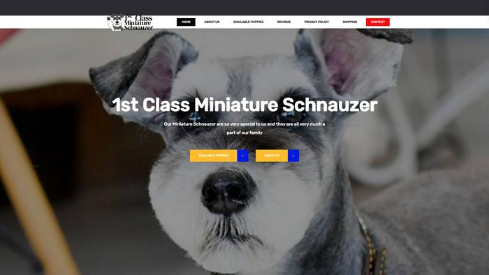 1stclassminiatureschnauzer.com - Schnauzer Puppy Scam Review