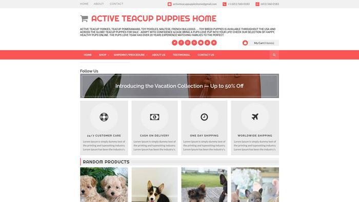 Activeteacuppuppieshome.com - Yorkshire Terrier Puppy Scam Review