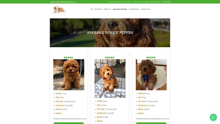 Adorablecavoodlepuppieshome.com - Cavapoo Puppy Scam Review