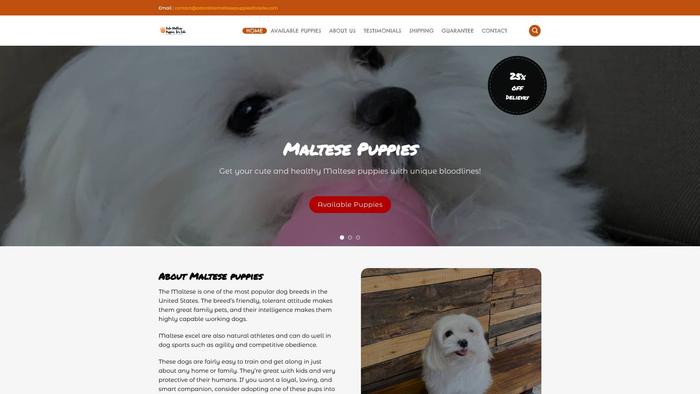 Adorablemaltesepuppiesforsale.com - Maltese Puppy Scam Review