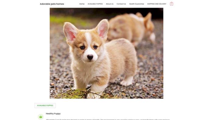 Adorablepetshomes.com - Corgi Puppy Scam Review