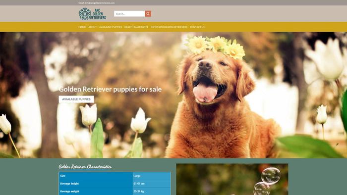 Akcgoldenretrievers.com - Golden Retriever Puppy Scam Review