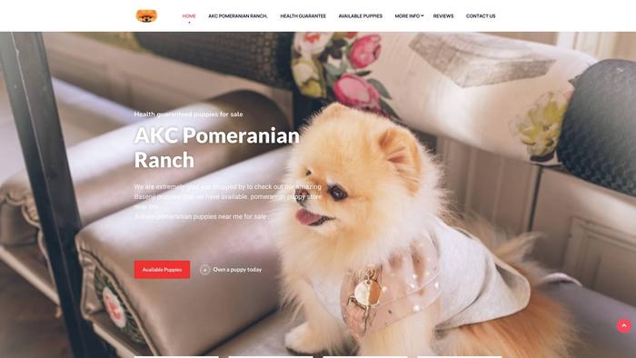 Akcpomeranianranch.com - Pomeranian Puppy Scam Review