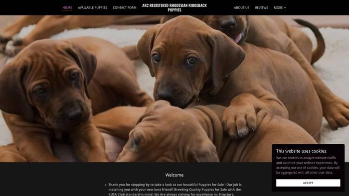 Akcrhodesianridgebackpups.com - Rhodesian Ridgeback Puppy Scam Review