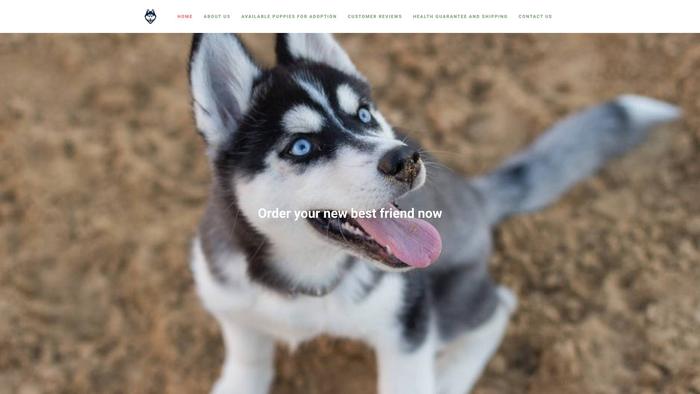 Albertshuskyfamily.com - Husky Puppy Scam Review