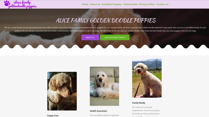 Alicesfamilygoldendoodlepuppies.com - Golden Doodle Puppy Scam Review