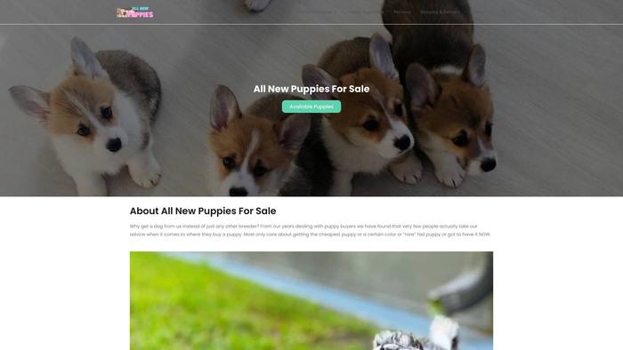 Allnewpuppiesforsale.store - Great Dane Puppy Scam Review