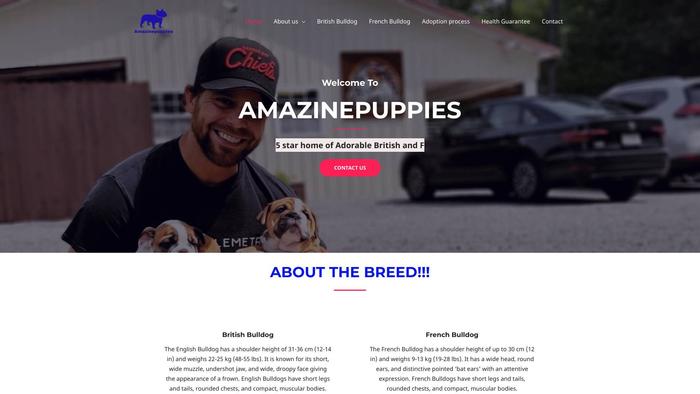 Amazinepuppies.com - French Bulldog Puppy Scam Review